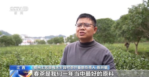 尋味地圖上新 春鮮消費(fèi)撬動(dòng)文旅熱潮